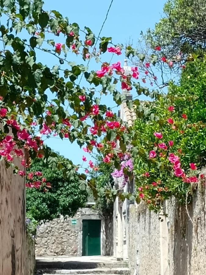 Ferienwohnung Seaview Dubrovnik Old Town Exterior foto